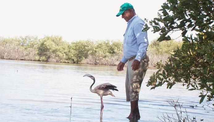 Guardafauna e instructor de vida silvestre